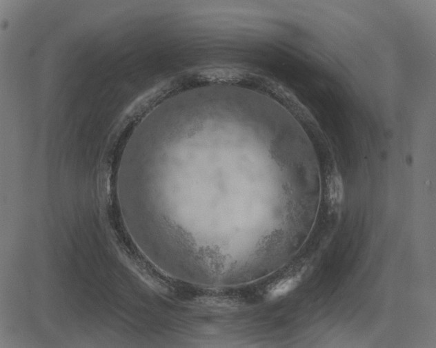 X0000081480733200701121444