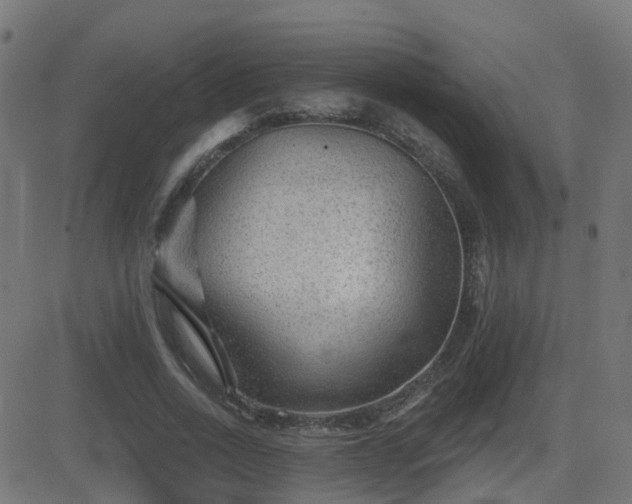 X0000081480734200701121444