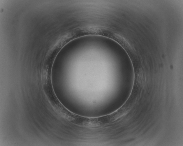 X0000081480739200701121444