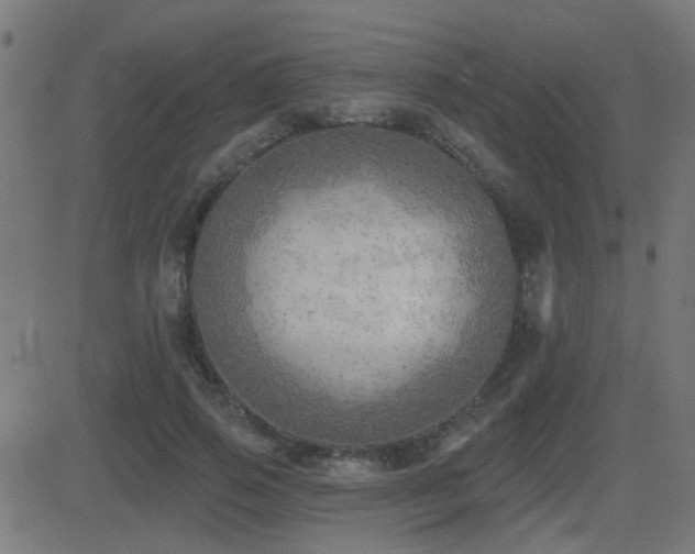 X0000081480741200701121444