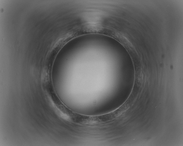 X0000081480743200701121444