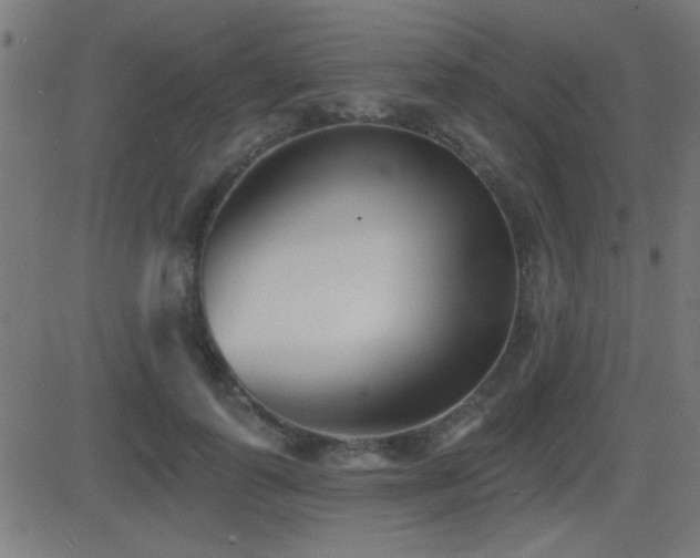 X0000081480747200701121444