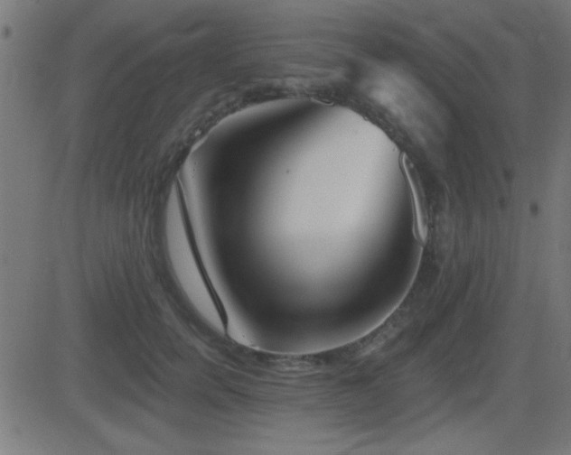 X0000081480750200701121444