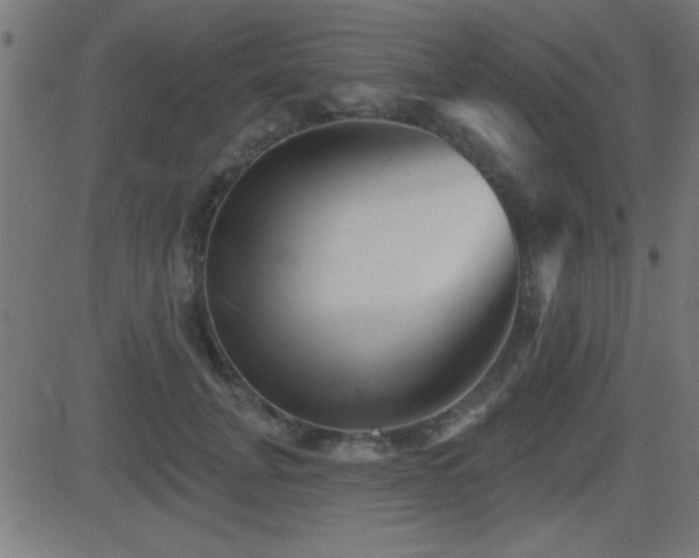 X0000081480751200701121444
