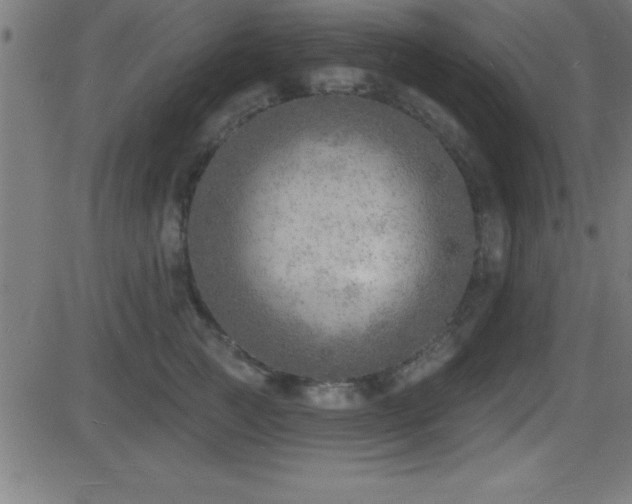 X0000081480761200701121444