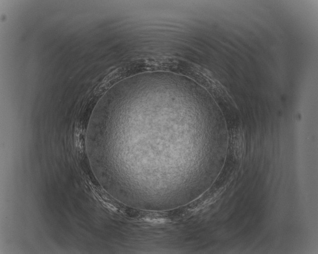 X0000081480770200701121444