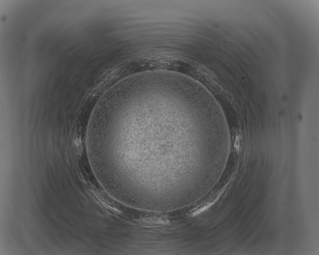 X0000081480771200701121444