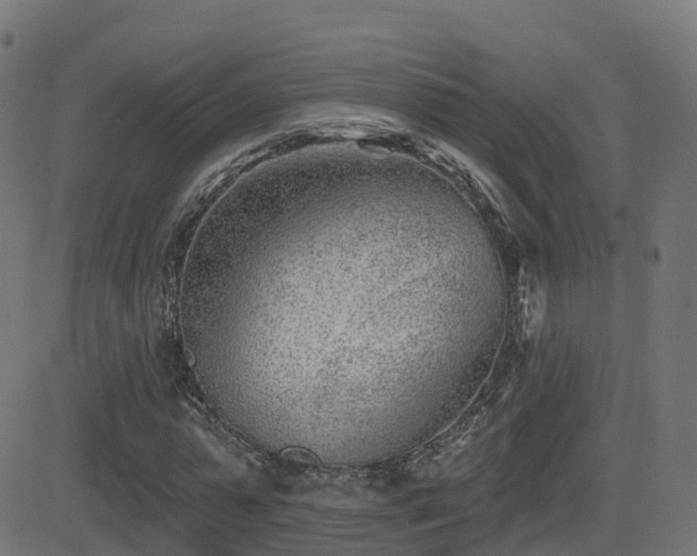 X0000081480775200701121444