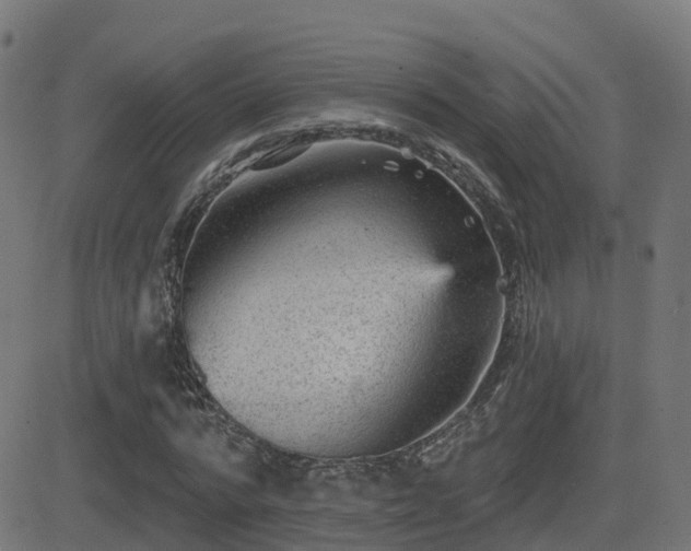 X0000081480776200701121444