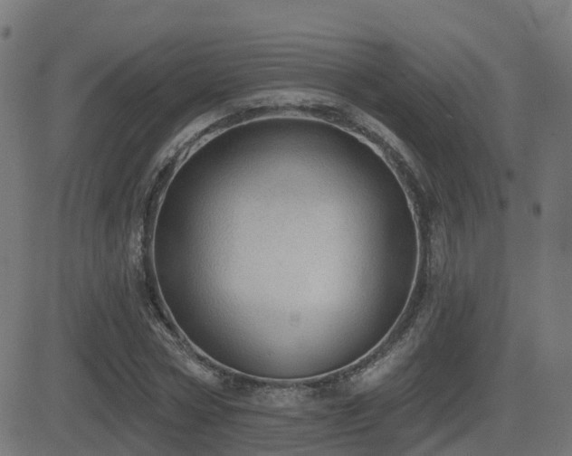 X0000081480778200701121444