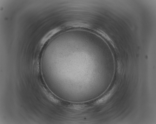 X0000081480782200701121443