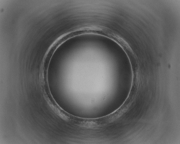 X0000081480784200701121443