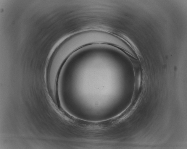 X0000081480788200701121443