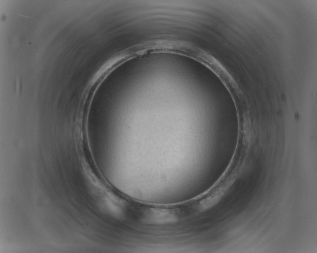 X0000081480794200701121443