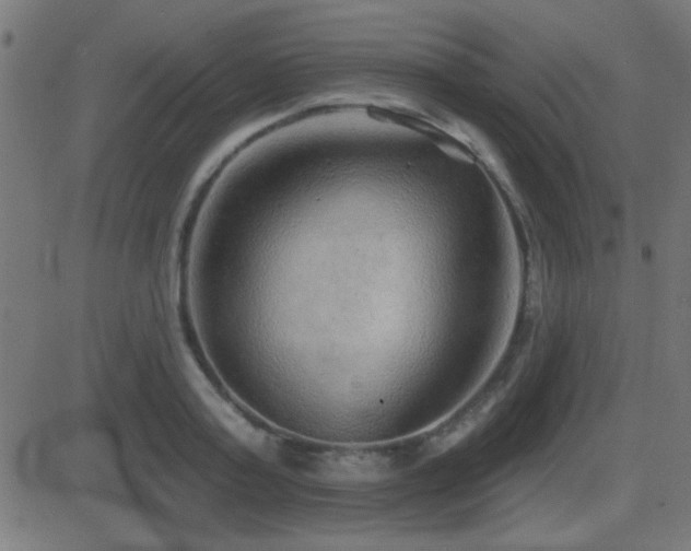 X0000081480795200701121443