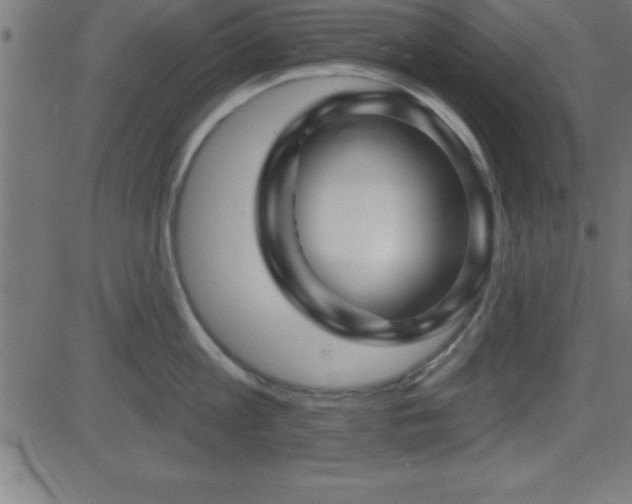 X0000081480813200701121443