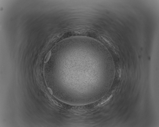 X0000081480817200701121442