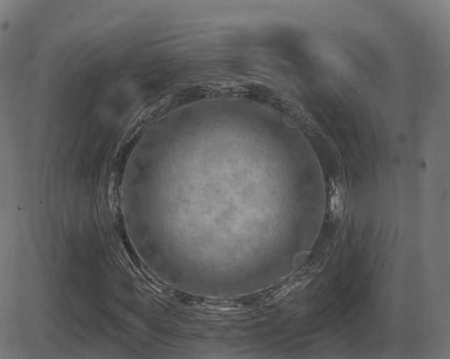 X0000081480819200701121442