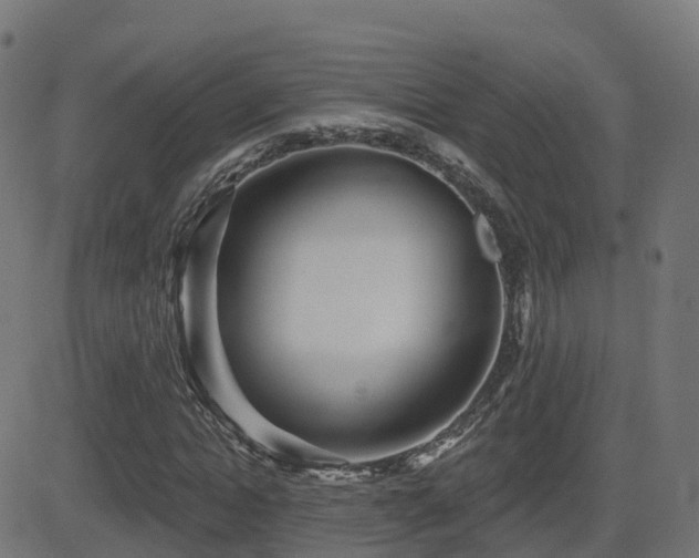 X0000081480822200701121442