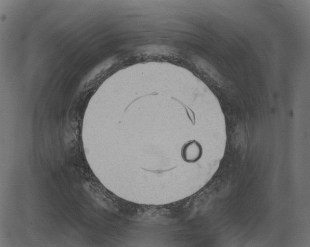 X0000081480824200701121442