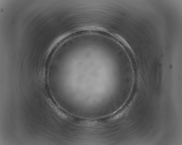 X0000081480831200701121442