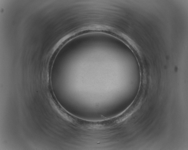 X0000081480837200701121442