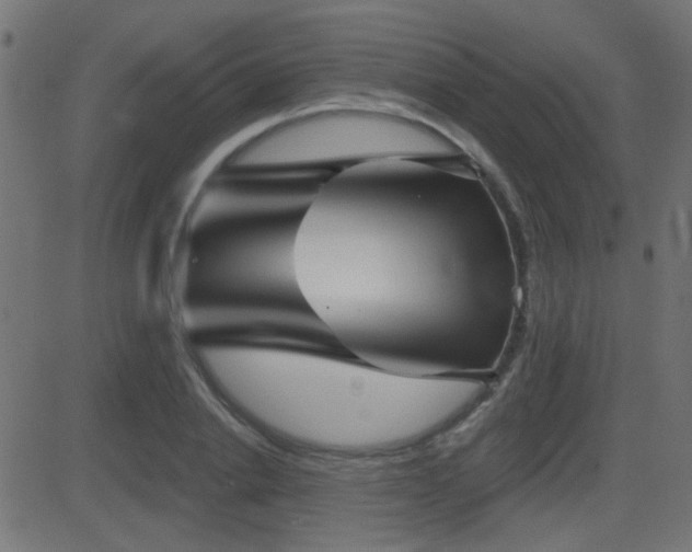 X0000081480838200701121442