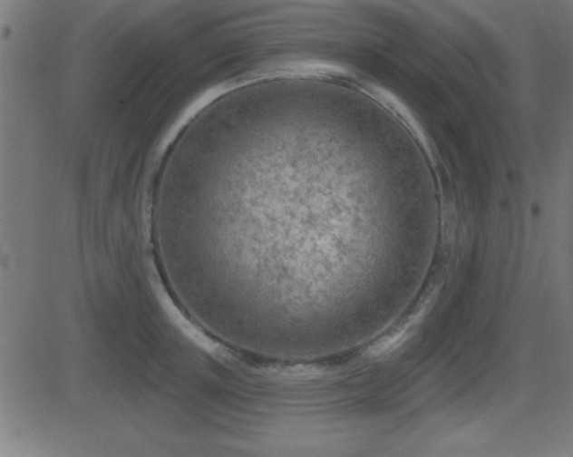 X0000081480851200701121443