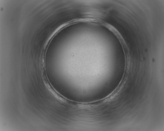 X0000081480852200701121443