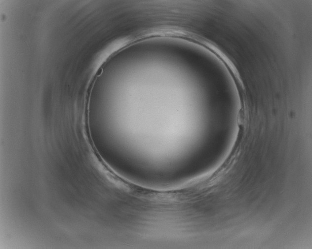 X0000081480861200701121443