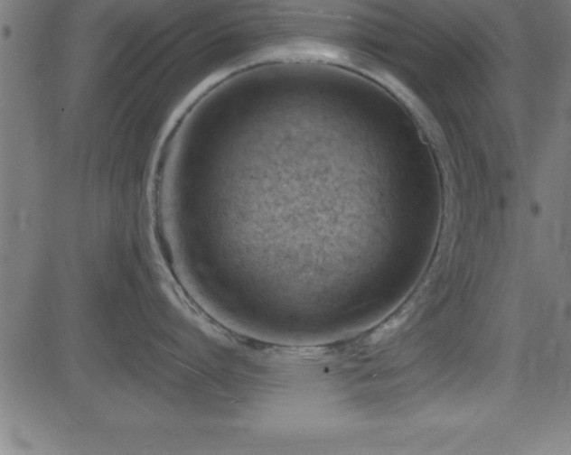 X0000081480864200701121443