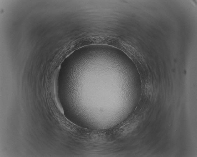 X0000081480865200701121442