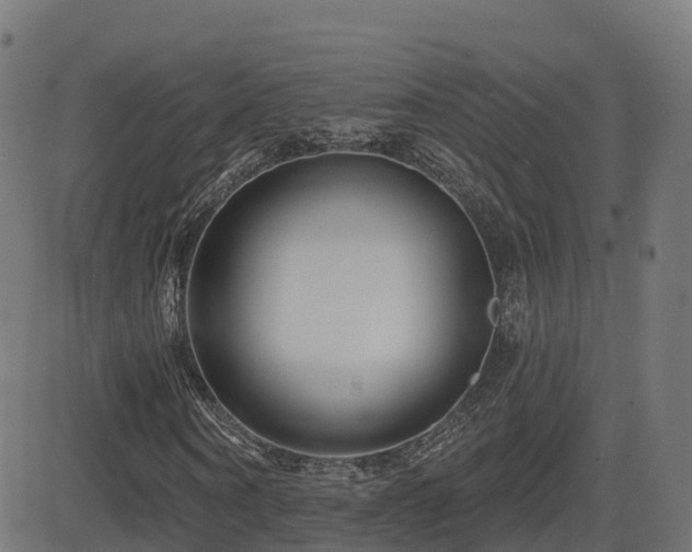 X0000081480866200701121442