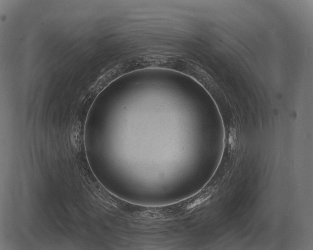 X0000081480867200701121442