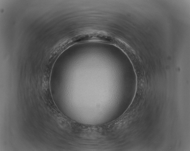 X0000081480869200701121442
