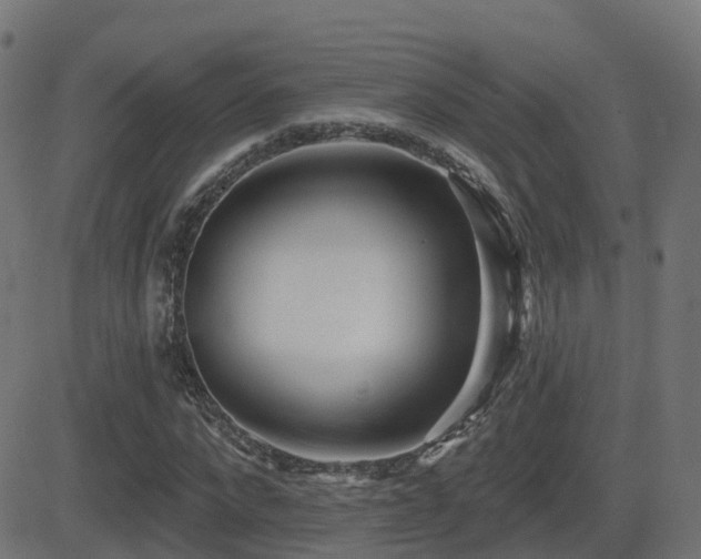 X0000081480872200701121442