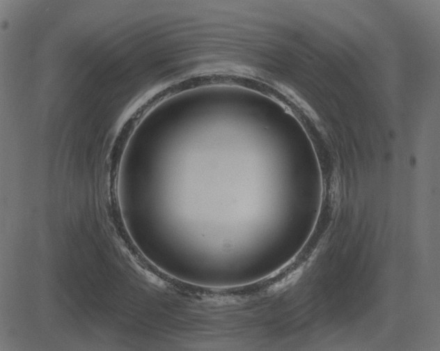 X0000081480877200701121442