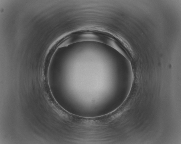 X0000081480880200701121442