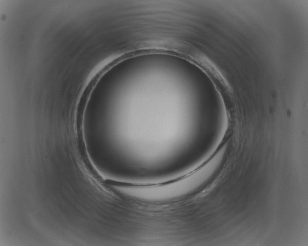 X0000081480884200701121442