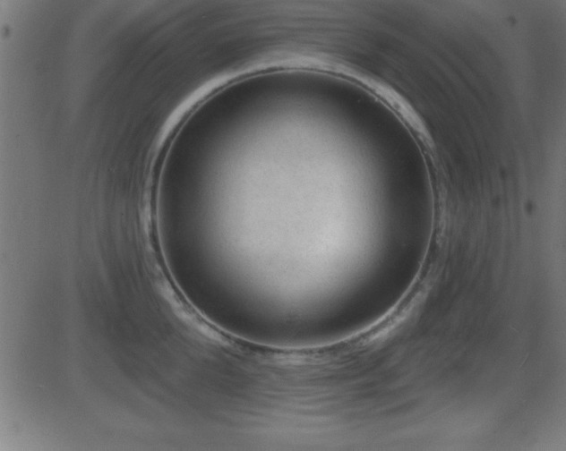 X0000081480904200701121441