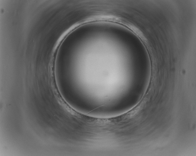 X0000081480912200701121441