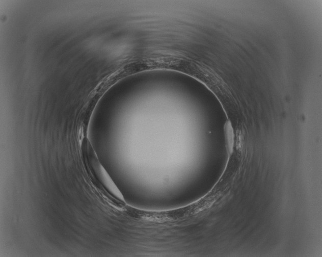 X0000081480915200701121441