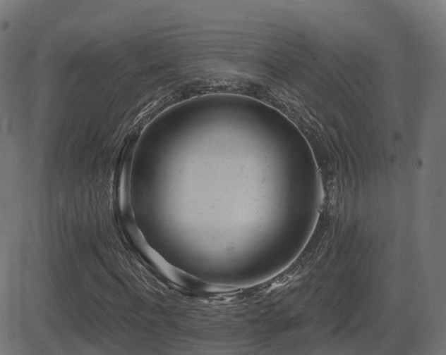 X0000081480916200701121441