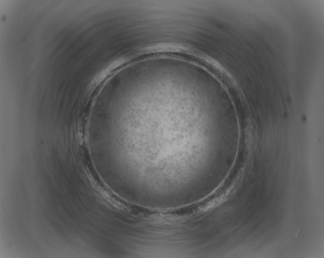 X0000081480929200701121441