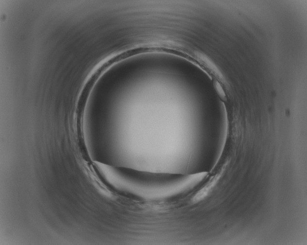 X0000081480932200701121441
