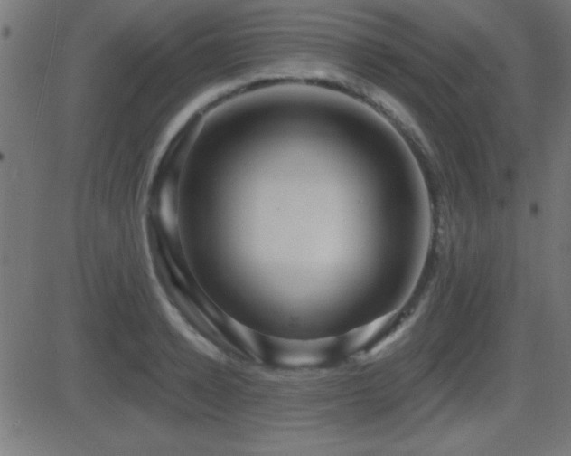 X0000081480942200701121441