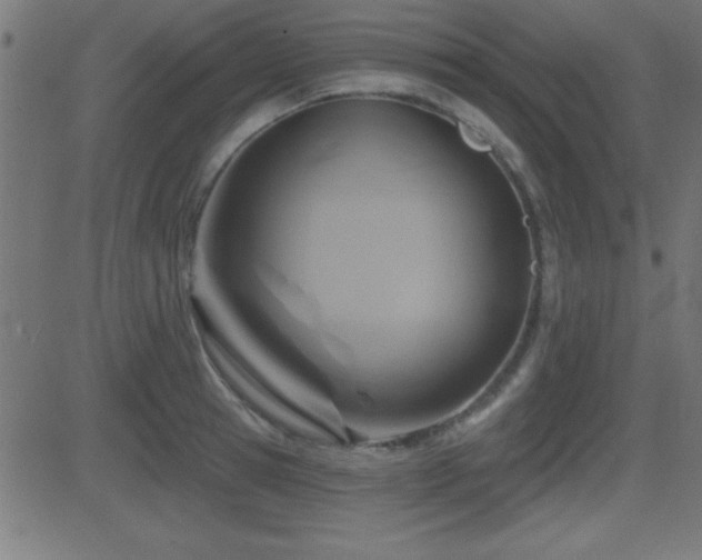X0000081480945200701121441