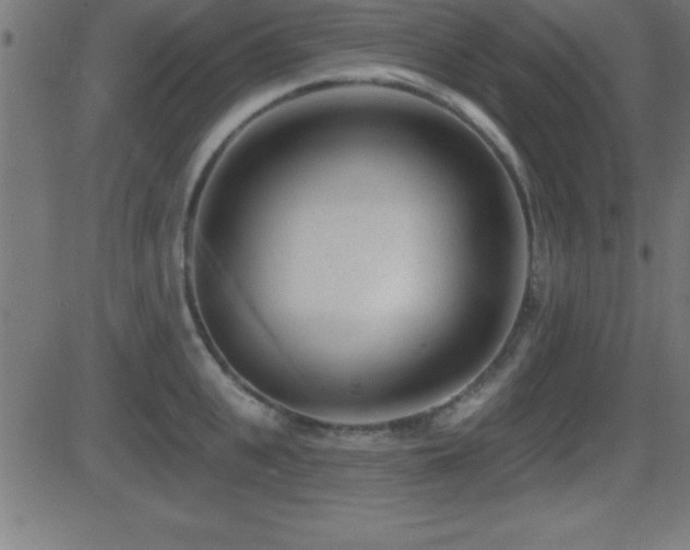 X0000081480951200701121441