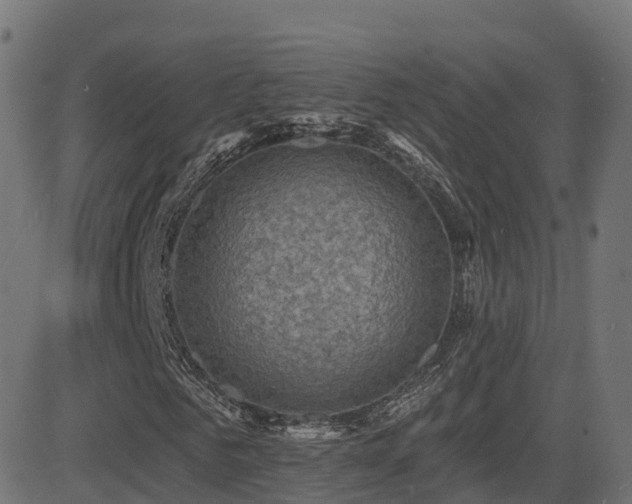 X0000081480961200701121441