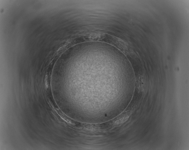 X0000081480962200701121440